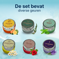 Übersicht aller sechs Düfte im Comformidable Shower Steamers Set: Citrus, Minze, Eukalyptus, Rose, Kamille, Lavendel